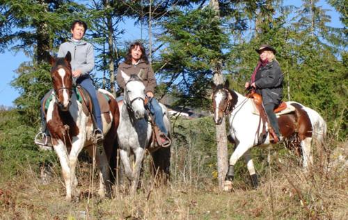 a group of people riding horses in a field at Apartments Almstein in Abtenau