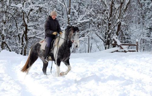 a woman riding a horse in the snow at Apartments Almstein in Abtenau