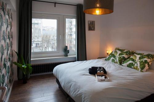 pies w koszyku na łóżku z oknem w obiekcie #Kaaistraat2 w Ostendzie