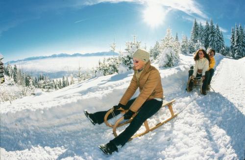 Gallery image of Alpe-Adria Apartments in Oberaichwald