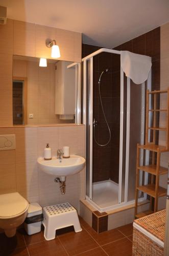 Koupelna v ubytování Apartmán v Srdci Hor Cihlářka