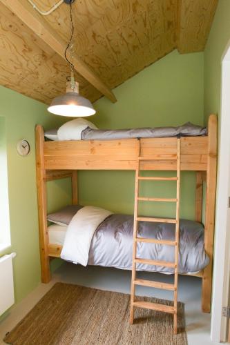 a bunk bed in a room with a ladder at de rode beer (zeer rolstoelgeschikt) in Heerde