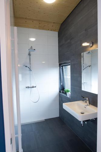 a bathroom with a sink and a shower at de rode beer (zeer rolstoelgeschikt) in Heerde
