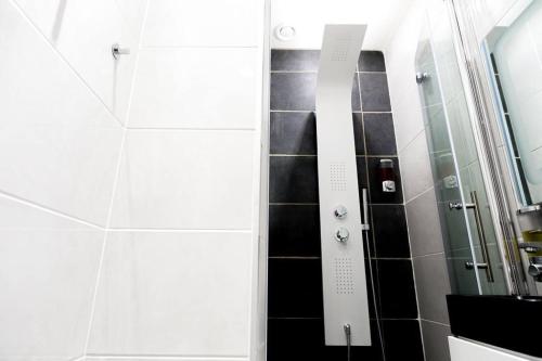 メスにあるStudio Gare Metz Côté Courの黒と白のタイル張りのバスルーム(シャワー付)