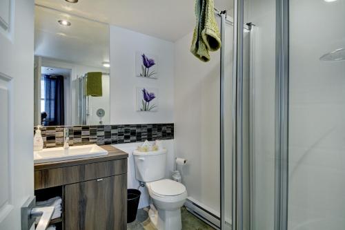 un bagno con WC, lavandino e doccia di Le Vallon a Saint-Férréol-les-Neiges