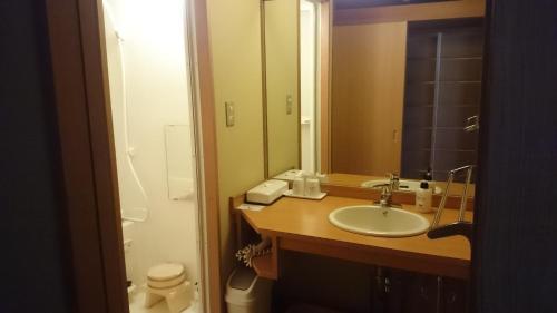 a bathroom with a sink and a mirror at Hirugami Grand Hotel Tenshin in Achi