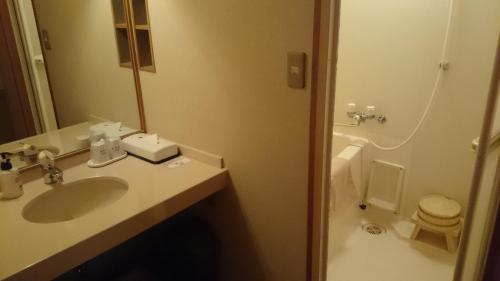a bathroom with a sink and a toilet at Hirugami Grand Hotel Tenshin in Achi