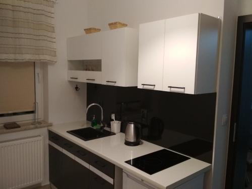 Kuchyň nebo kuchyňský kout v ubytování Apartament Scorpion Modlin