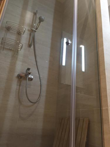 Apartment Ski Lift في زلاتيبور: دش مع باب زجاجي في الحمام