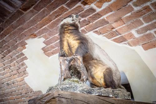 a bear statue sitting on top of a brick wall at Lo Teisson in Aosta