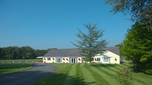 a white house with a tree and a road at Lovesgrove Country Guest House in Pembroke Dock