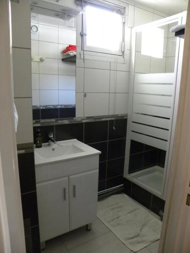 une salle de bain avec un lavabo, une douche et un miroir dans l'établissement Studio COTE BRUNE 2 ALPES, à Les Deux Alpes