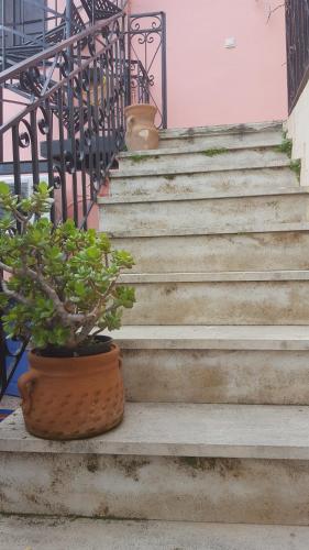 a set of stairs with potted plants on them at Studio Lefaki in Rethymno Town