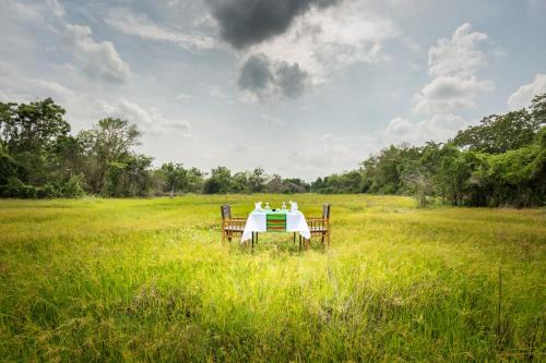 a table in the middle of a field at Mahoora Wilpattu - by Eco Team in Wilpattu