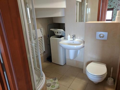 a small bathroom with a toilet and a sink at Minaret Apartman in Eger