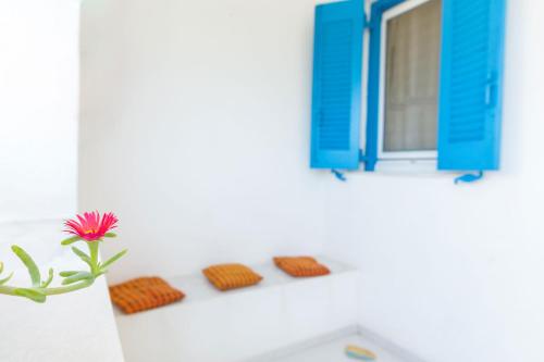 a vase with a flower on a shelf with a window at Remvi Studios in Pounda