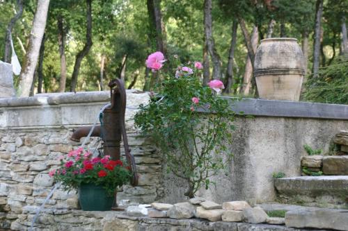Le Mas de la Pinède – Photos 4