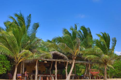 Zahrada ubytování Mangrove Beach Chalets