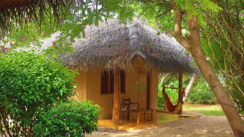 a small hut with a hammock in front of it at Mangrove Beach Cabana in Tangalle