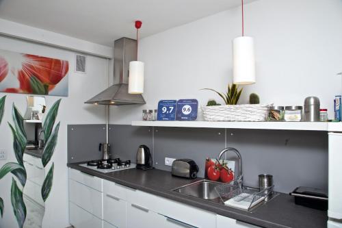 Kuchyňa alebo kuchynka v ubytovaní Warszawa Centrum Apartament Daniella