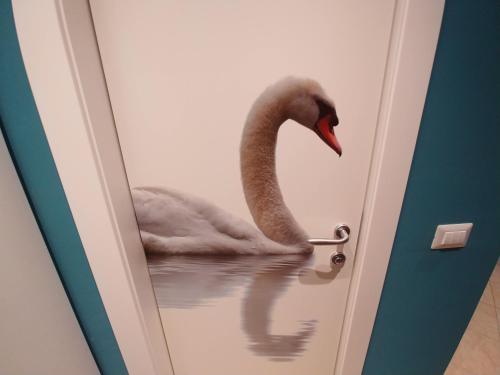 a swan standing in the water behind a door at La Finestra Sul Lago in Cernobbio