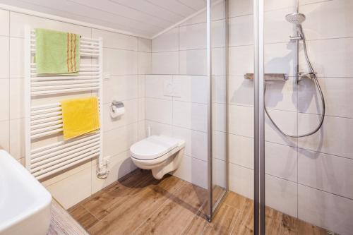 a bathroom with a shower and a toilet at Appartementhaus Zum Schneider in Scheffau am Wilden Kaiser