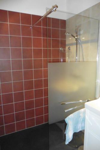 baño con paredes de azulejos rojos y ducha. en La Loge en Sanssac-lʼÉglise