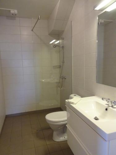 Ένα μπάνιο στο Brekkulækur Guesthouse