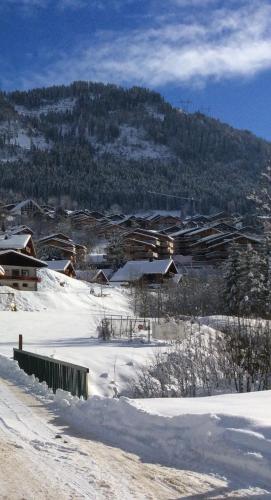 Le Savoyard
