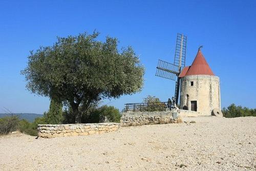 um moinho de vento no topo de uma colina com uma árvore em La Pauseto em Fontvieille