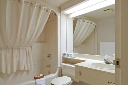 a bathroom with a sink and a toilet and a mirror at Econolodge Smiths Falls in Smiths Falls