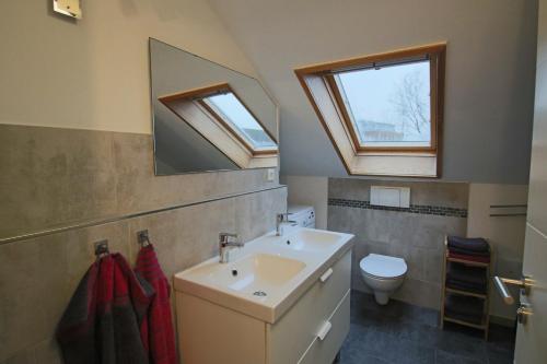 リューネブルクにあるCity-Apartment - Lüneburg Schwalbengasseのバスルーム(シンク、トイレ、天窓付)