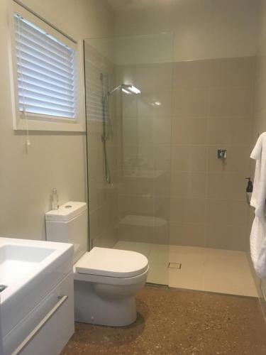 a bathroom with a shower and a toilet and a sink at Clydestay in Alexandra