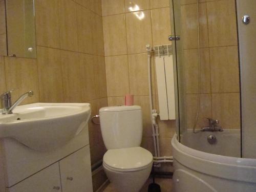 a bathroom with a toilet and a sink and a shower at Casa Hora in Suceava