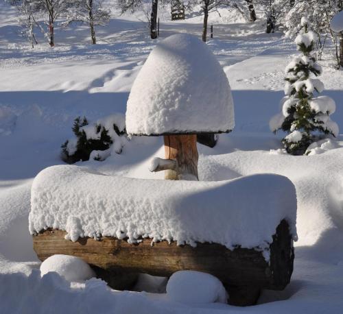 a snow covered bird house in the snow at Ferienhof Berger in Rossleithen