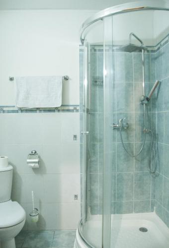 a bathroom with a shower and a toilet at In Astra in Vilnius