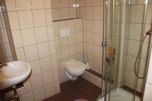 a bathroom with a shower and a toilet and a sink at Zagroda Agroturystyczna Wiecha in Mieroszów