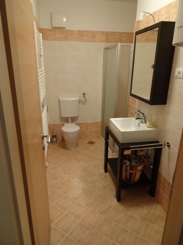 a bathroom with a toilet and a sink and a mirror at ALPIN apartma in Bovec