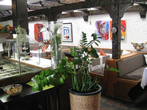 a potted plant sitting on a counter in a store at Leuchtners an der Rennbahn in Iffezheim