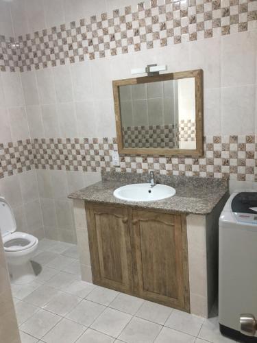 a bathroom with a sink and a toilet and a mirror at Shanaz Beachside Retreat in Anse Royale