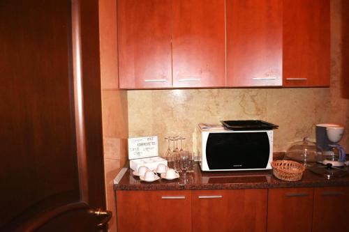 布加勒斯特的住宿－Grand Central Accomodation Sala Palatului，厨房的台面上配有微波炉