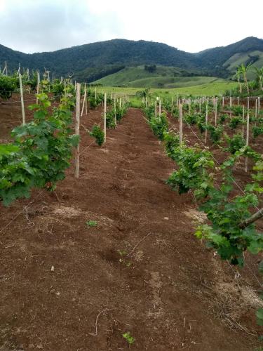 Landskap semula jadi dekat dengan lodge