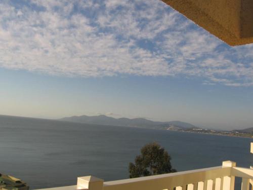 a view of a body of water from a balcony at Bahia Pelicanos in Horcón