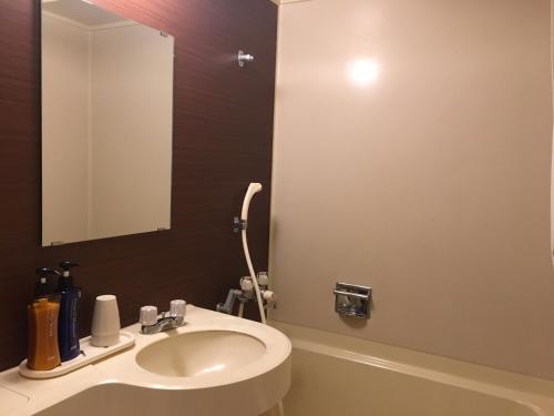 a bathroom with a sink and a mirror at Kanazawa Central Hotel Annex in Kanazawa