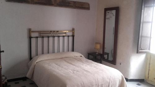een slaapkamer met een bed en een grote spiegel bij Casa Cossio in Jaén