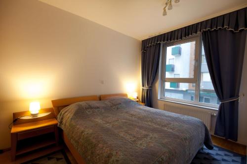 1 dormitorio con cama y ventana grande en Central Apartment Anita Tour As Ljubljana, en Liubliana