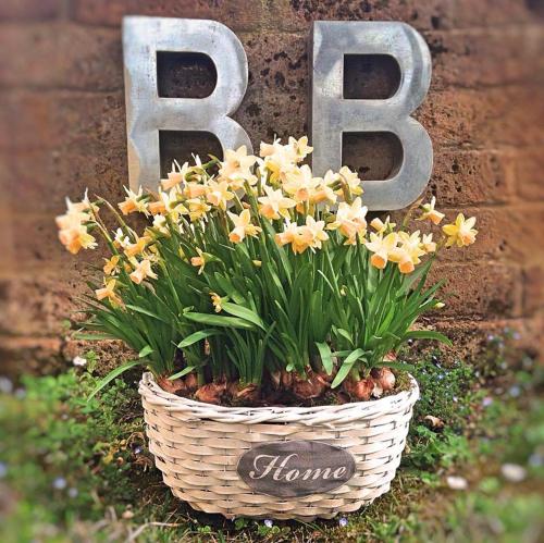 a basket of flowers in front of a sign at B&B Nascondino in Goito
