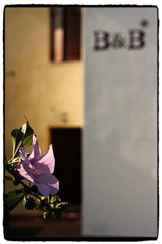 a purple flower in front of a building at B&B Nascondino in Goito