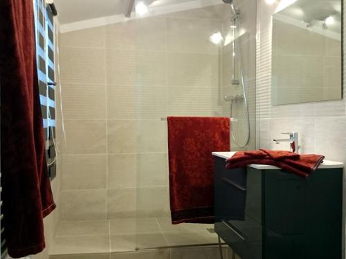 a bathroom with a shower and a red towel at Le Clos Chez Michel in Montpellier