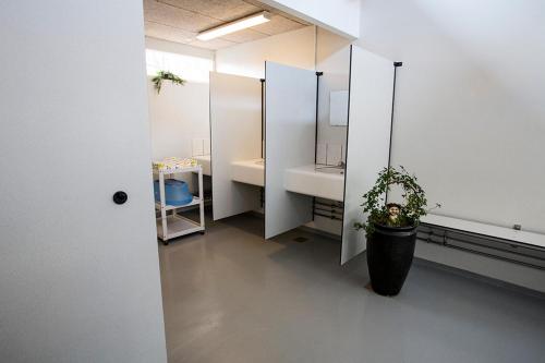 ein Badezimmer mit einem Waschbecken und einer Topfpflanze in der Unterkunft Nivå Camping & Cottages in Nivå